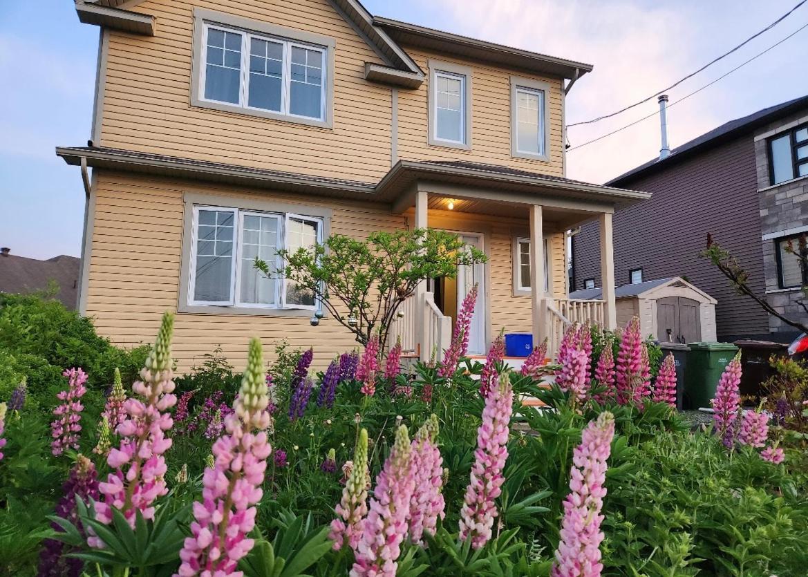 Maison Chaleureuse, Energetique Et Florale Sherbrooke Extérieur photo