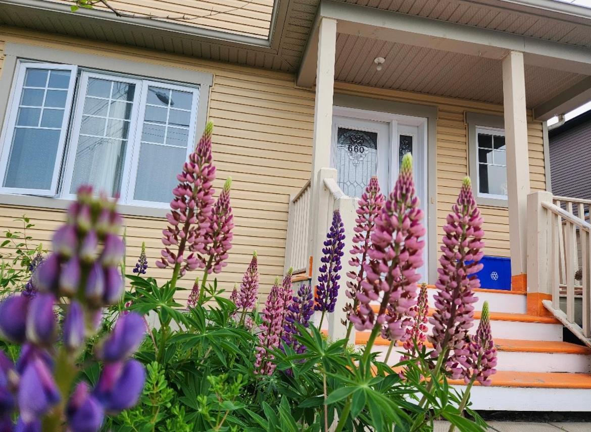 Maison Chaleureuse, Energetique Et Florale Sherbrooke Extérieur photo